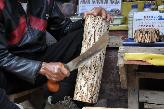 batik tree2.jpg