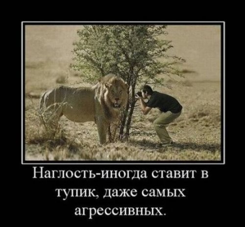 1320222025_demo-3.jpg