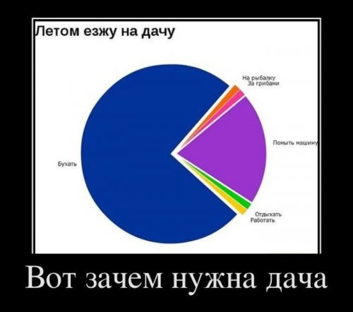 1321000924_demo-7.jpg