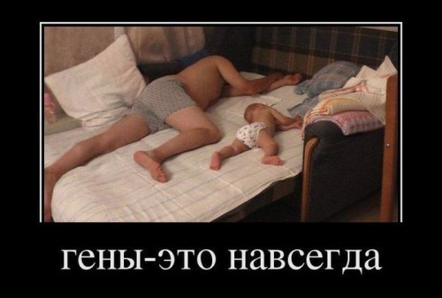 1334041832_2.jpg