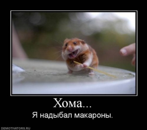 1334057825_dem-43.jpg