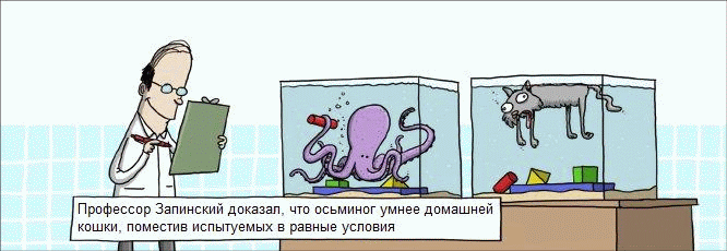 12-04-16.gif