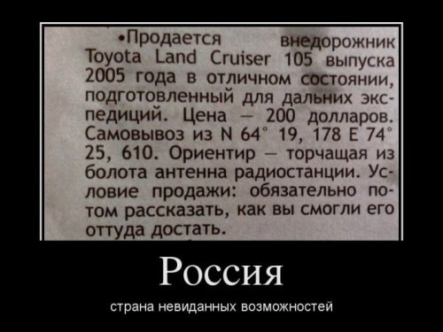 1334652491_2.jpg