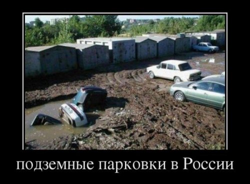 1334735008_20.jpg