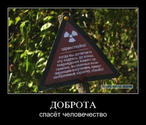 post-291630-1312271380.jpg