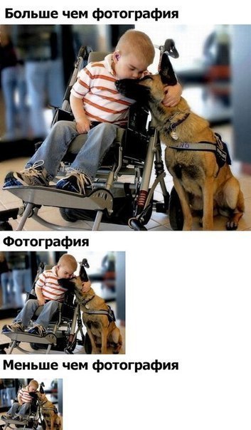 x_6e8d7a1d.jpg