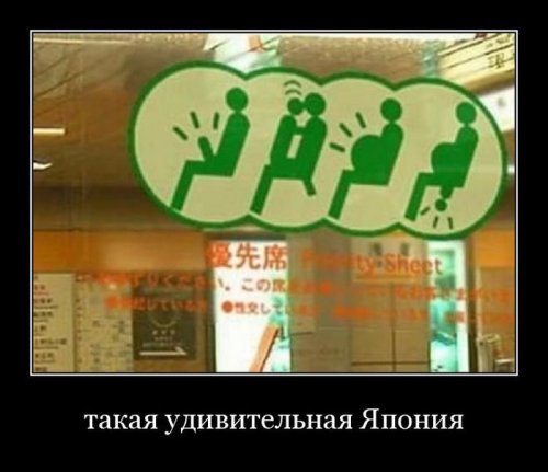 1334825211_10.jpg