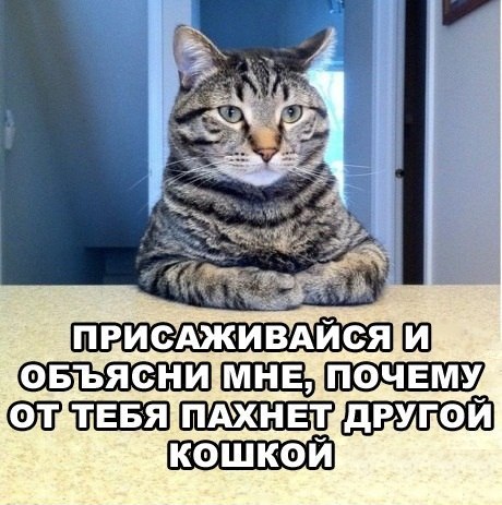 1337241071_smeshnye-foto-36.jpg