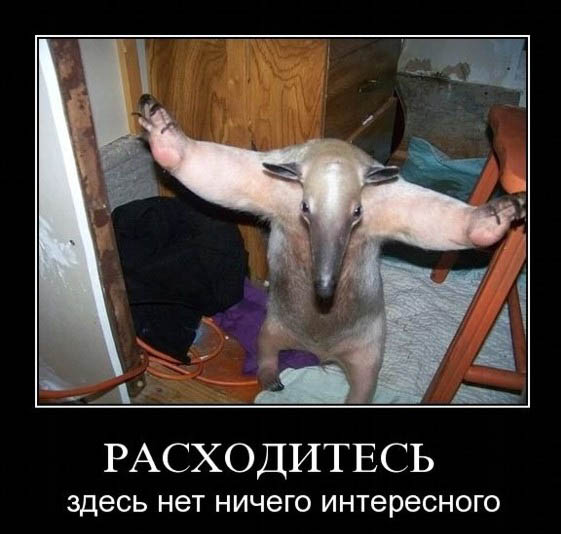 1334064183050.jpg
