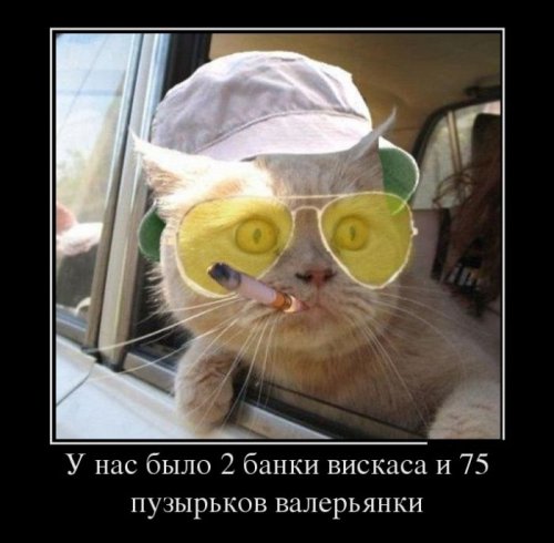 1341298358_demotivatory-22.jpg