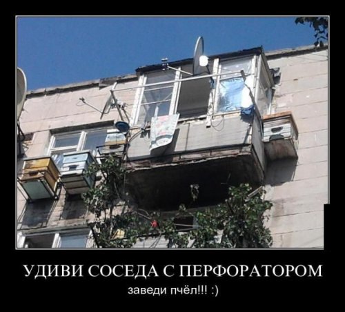 1346659498_demotivatory-17.jpg