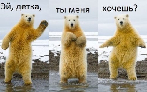 1346836812_foto-prikoly-21.jpg
