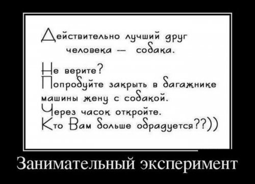 1349163175_svezhak-3.jpg