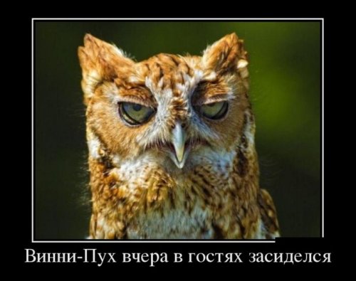 1350462292_demotivatory-10.jpg