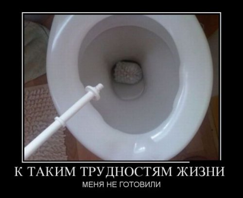 1351246465_svezhie-demotivatory-16.jpg