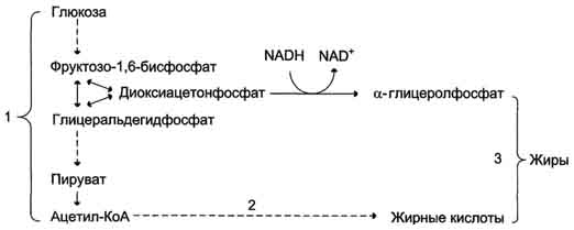 B5873p355-a1.jpg