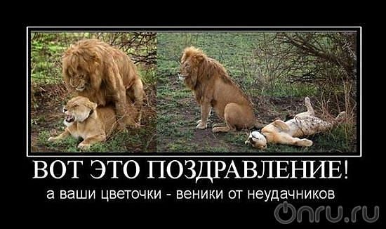 getIma31ge.jpg