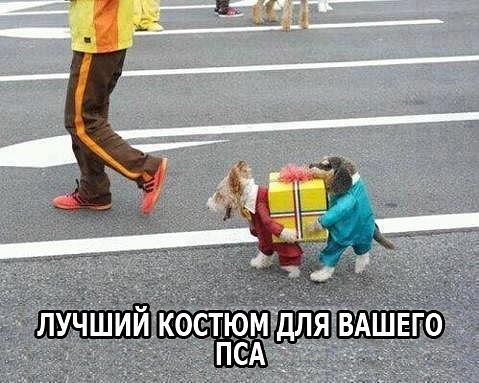 getImage.jpg