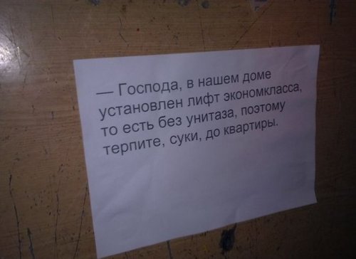 1364813010_prikolnye-kartinki-19.jpg
