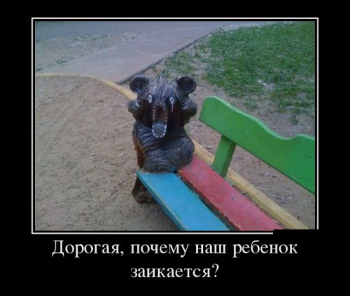 1366279571_demy-4.jpg