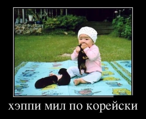 1367304677_demotivatory-novye-5.jpg