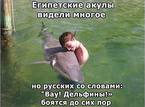 post-45742-1367943638.jpg