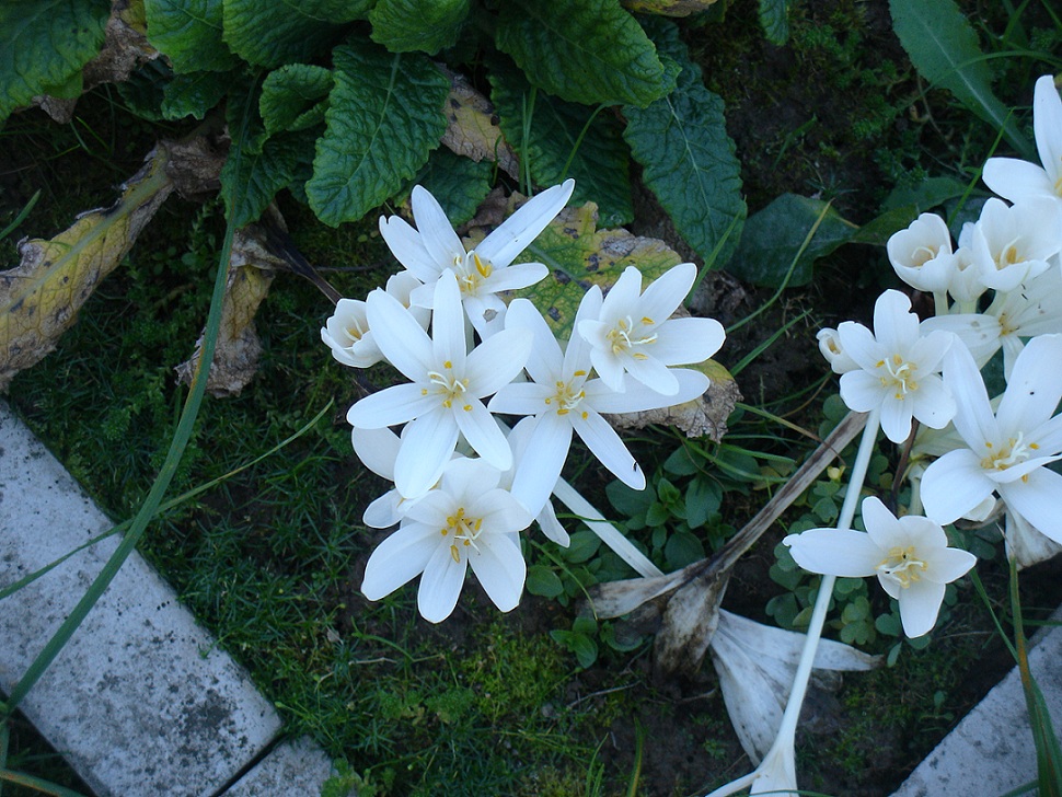 DSC00120у.jpg