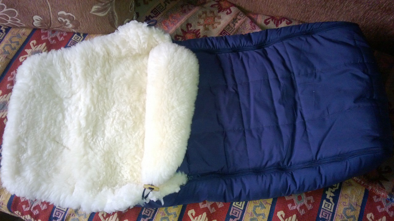 WP_20131108_002.jpg