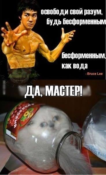 1396518559_prikoly-4.jpg