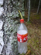 сок.jpg