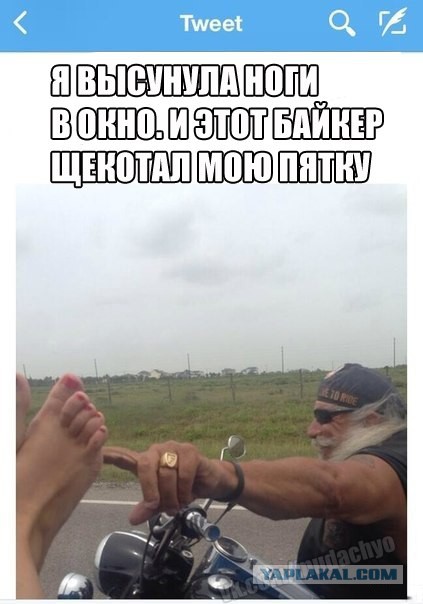 3461750.jpg