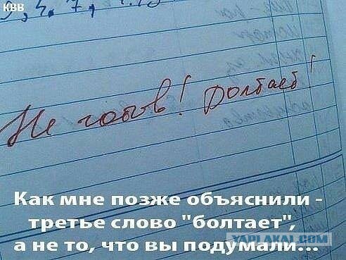 3747194.jpg