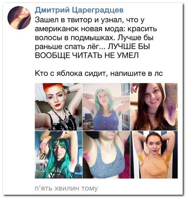 4386957.jpg