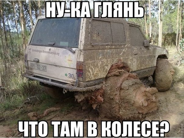 5313559.jpg