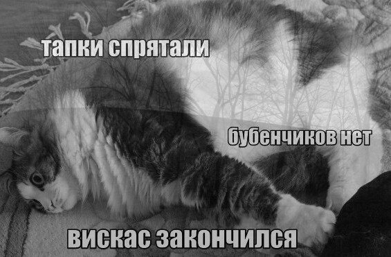 депра.jpg