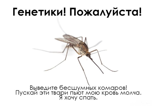 кб.jpg
