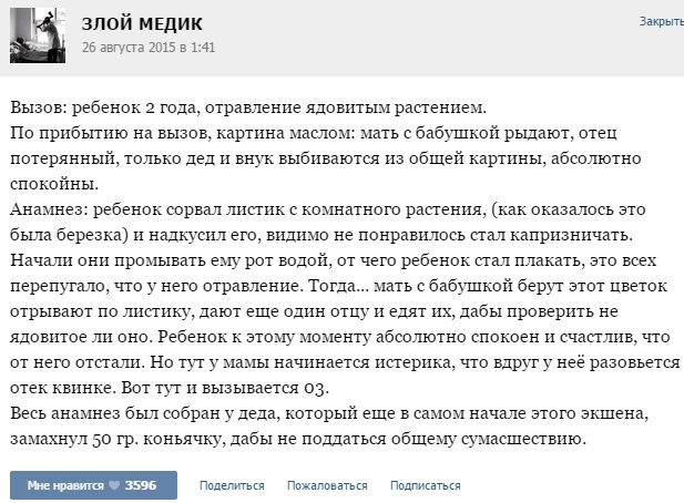 березка.jpg