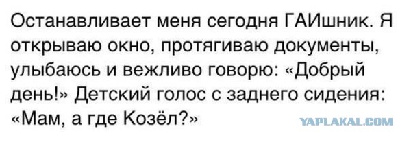 козел.jpg