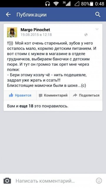коту.jpg