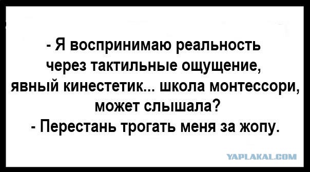 монт.jpg
