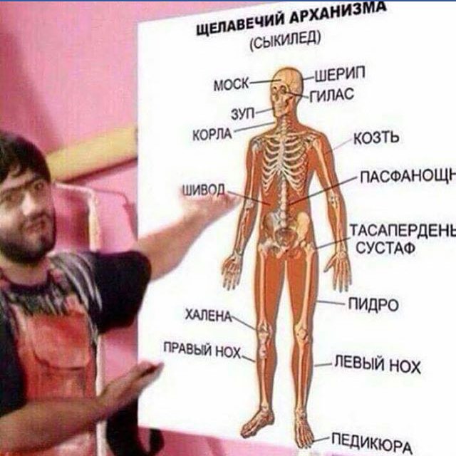 нох.jpg