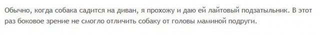 собак.jpg
