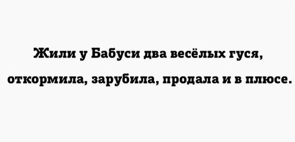 гуси.jpg