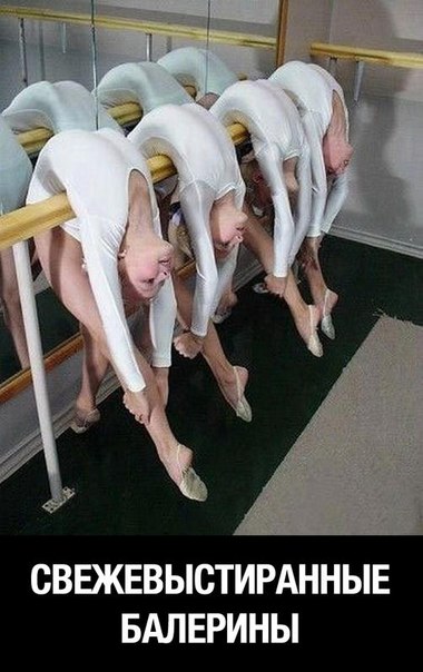 свб.jpg
