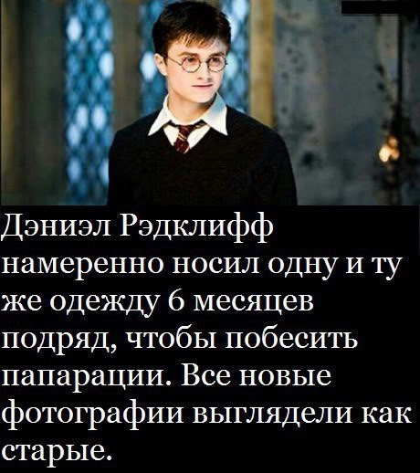 7259044.jpg