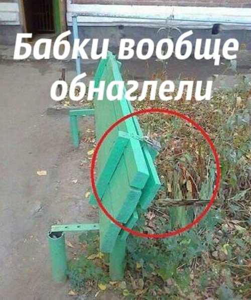 1456611870_foto-20.jpg
