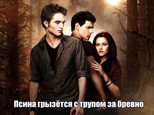 птб.jpg