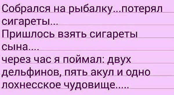 сиги.jpg