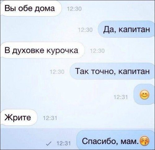 кур.jpg
