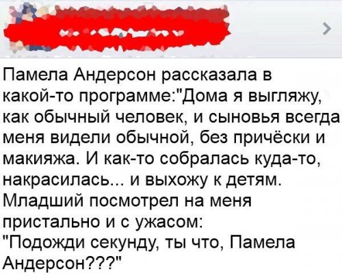 пэм.jpg